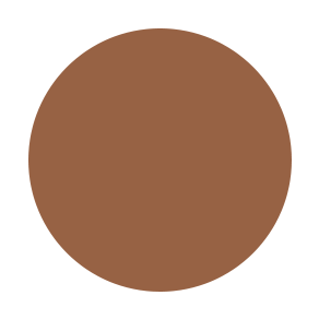 BLACK DUAL POWDER