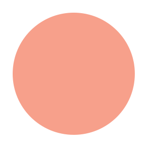 BLUSHER