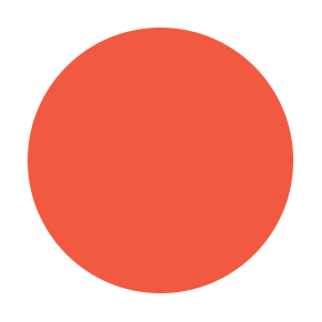 BLUSHER