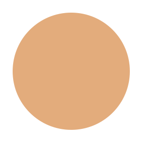 BLAK DUAL POWDER
